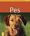 Pes