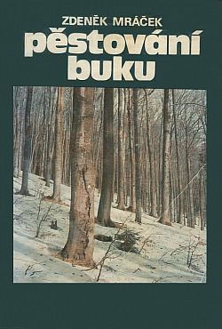 Pěstování buku