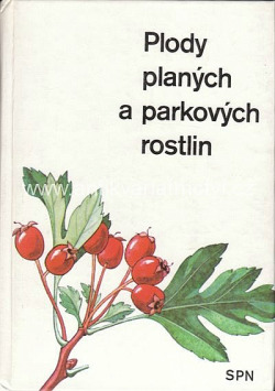 Plody planých a parkových rostlin