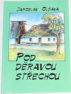 Pod děravou střechou