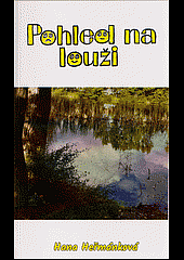 Pohled na louži