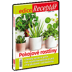 Pokojové rostliny
