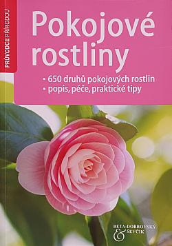 Pokojové rostliny