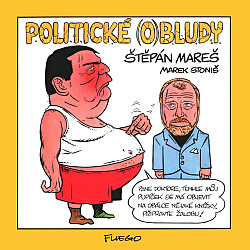 Politické (o)bludy