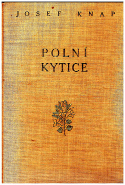 Polní kytice