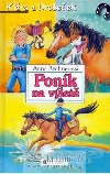 Poník na výletě