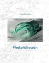 Před přidí oceán