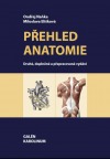 Přehled anatomie