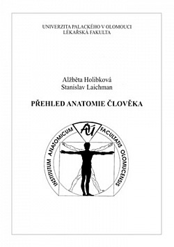 Přehled anatomie člověka