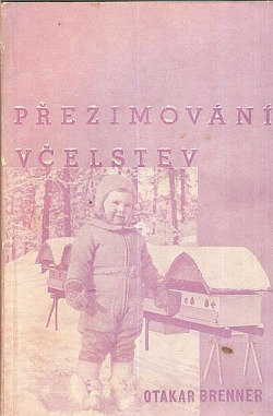 Přezimování včelstev