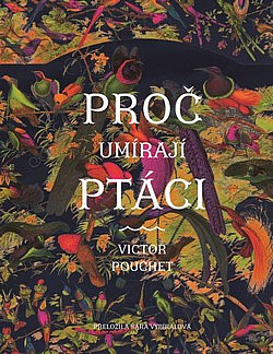 Proč umírají ptáci