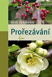 Prořezávání - krok za krokem
