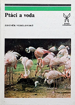 Ptáci a voda