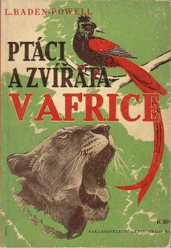 Ptáci a zvířata v Africe