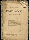 Ptačí mozky