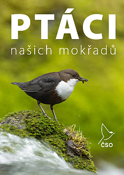 Ptáci našich mokřadů