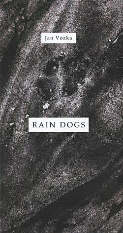 Rain dogs