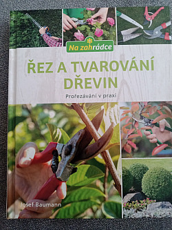 Řez a tvarování dřevin