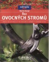 Řez ovocných stromů
