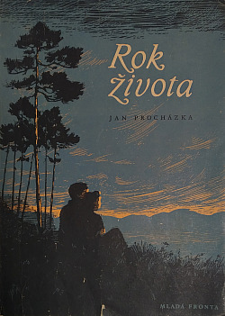 Rok života