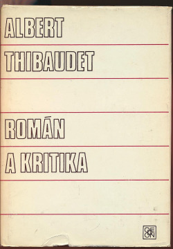 Román a kritika