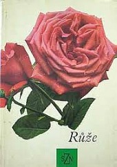 Růže