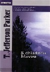 S chladnou hlavou