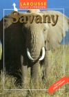 Savany