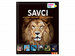 Savci