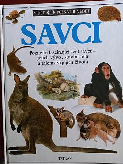 Savci