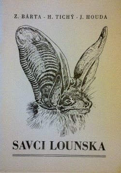 Savci Lounska