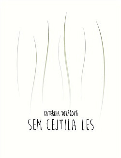 Sem cejtila les