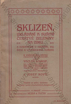 Sklizeň
