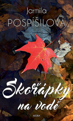 Skořápky na vodě