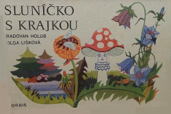 Sluníčko s krajkou