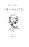 Sněhová růže