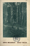Snivá moudrost