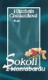 Sokoli z Montabardu