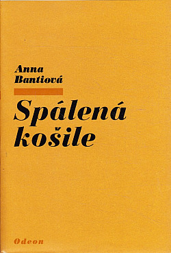 Spálená košile