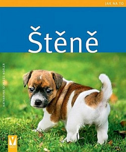 Štěně