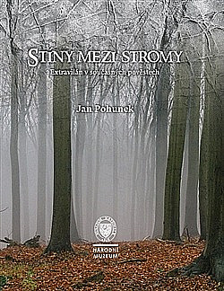 Stíny mezi stromy