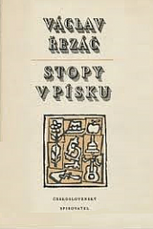 Stopy v písku