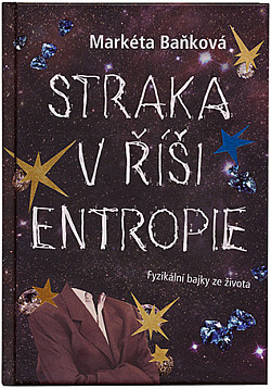 Straka v říši entropie