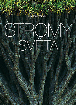 Stromy světa