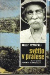 Světlo v pralese