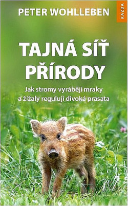 Tajná síť přírody