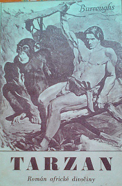 Tarzan Vězeň pralesa
