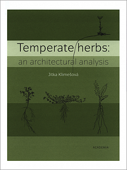 Temperate herbs: an architectural analysis