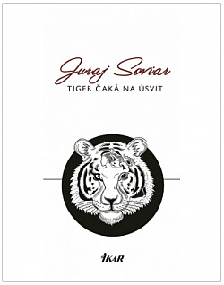 Tiger čaká na úsvit