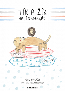 Tík a Žík, hají kamarádi